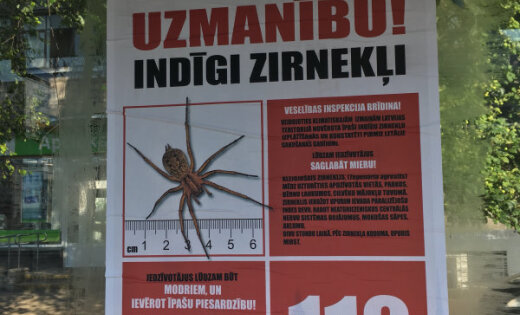   False warnings about poisonous spiders in Riga 