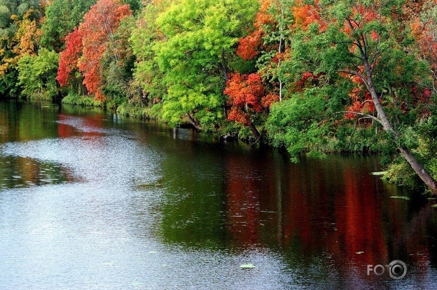 10 самых больших латвийских рек длиннее 100 километров — в фотографиях!