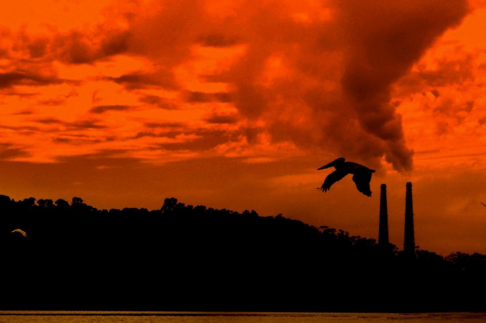 15 cilvēces attīstības scenāriji, kas var īstenoties tuvākajā laikā
