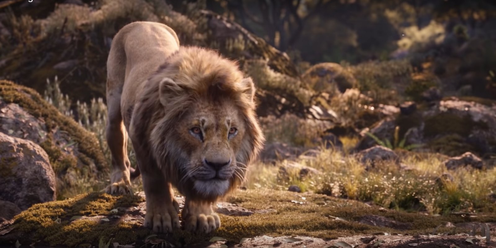 'Disney' uzņems vēl vienu filmu par 'Karali lauvu', kura režisēs Berijs Dženkinss
