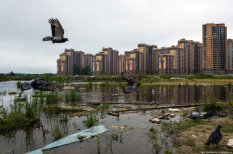 Ужас на болотах. Новый жилой район в Санкт-Петербурге вызывает жуткие ощущения