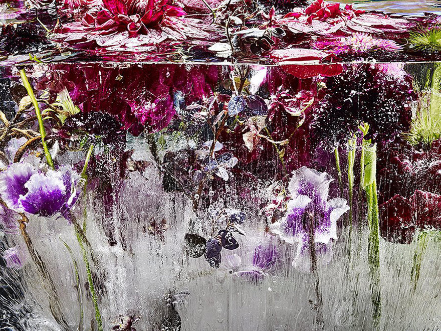 Japāņu fotogrāfe mākslas vārdā saldē puķes