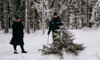 Labākais piedzīvojums decembrī: pirmo reizi uz mežu pēc eglītes