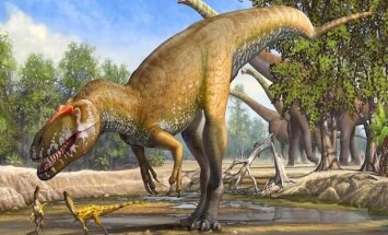 Atrasts lielākais Eiropā dzīvojušais dinozaurs