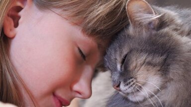 Ласковые или игривые? ТОП-6 лучших пород кошек для семей с детьми
