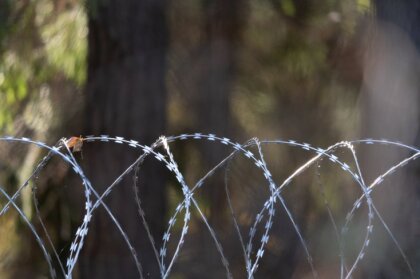 Atmežošana uz Latvijas-Baltkrievijas robežas pirmajā būvdarbu kārtā teju pabeigta