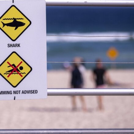 Pēc haizivju uzbrukuma delfīnam Sidnejā slēdz pludmales