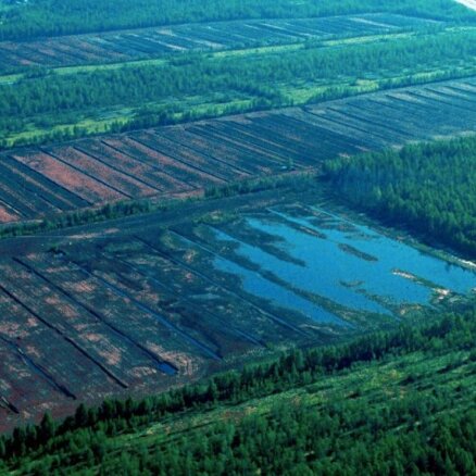 ZM un 'Latvijas valsts meži' bezatbildīgi apsaimnieko valsts derīgos izrakteņus, secina VK