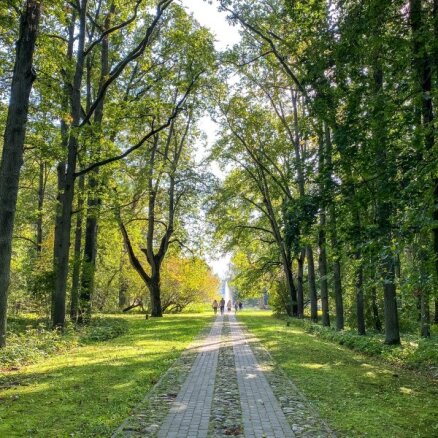 Жара не обязательна: 22 интересных латвийских парка для прогулок на выходных