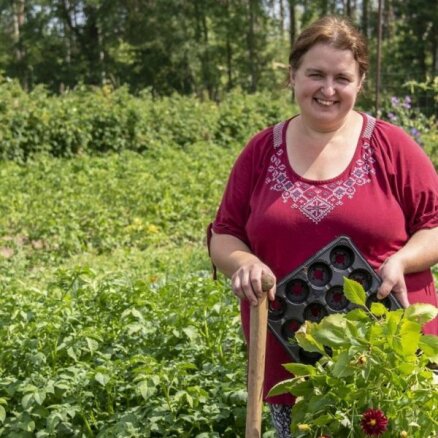 'Lāpstu rokās neesmu ņēmusi, un par ražu nesūdzos'. Anne Grīnberga par dārzkopību bez rakšanas