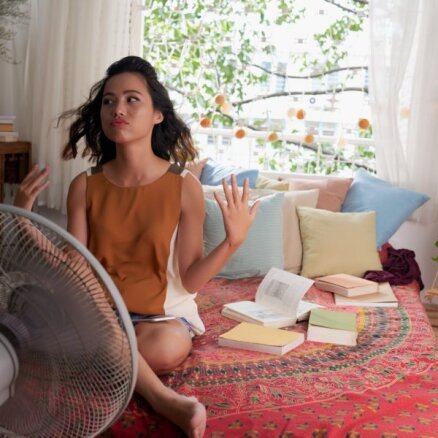 'Ratus taisa vasarā' – būtiski augusi ventilatoru un kondicionieru tirdzniecība