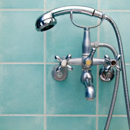 Чистить душ хлоркой и спускать воду из крана: как защитить себя от легионеллеза