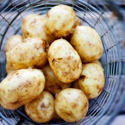 Kā uzglabāt jaunos kartupeļus, lai tie būtu lietojami pēc iespējas ilgāk?