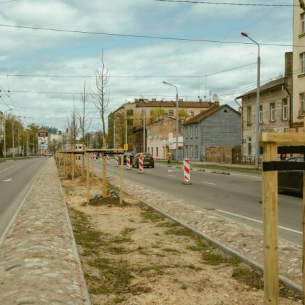 ФОТО: Вдоль улицы Чака сажают деревья