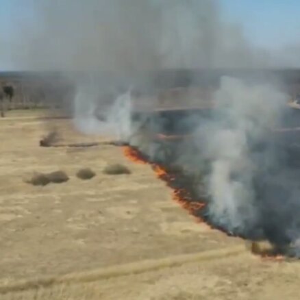 Сильный пожар сухой травы под Бабите: огнем охвачено несколько гектаров