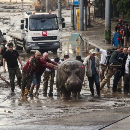 Патриарх Грузии: наводнение в тбилисском зоопарке — это грехи коммунистов