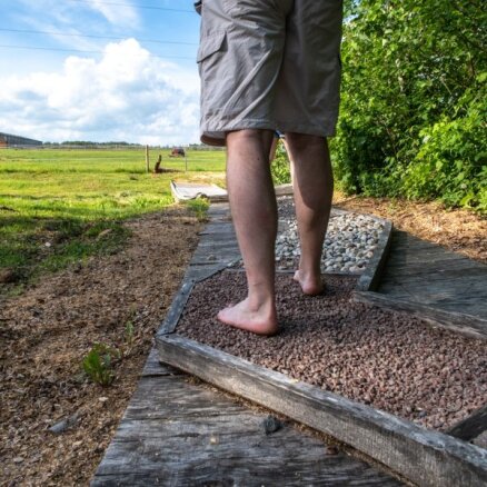 Foto: Savdabīga akupunktūra kājām Biržu baskāju takā Lietuvā