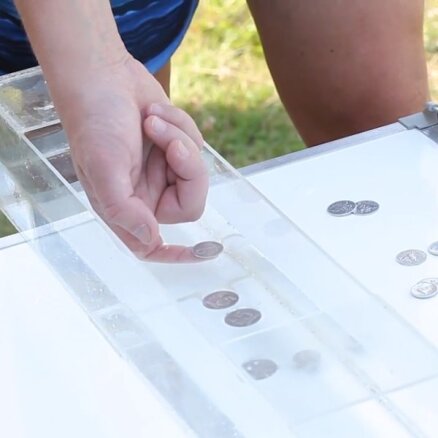 Eksperiments: kā panākt, lai alumīnija monētas ūdenī nenogrimst