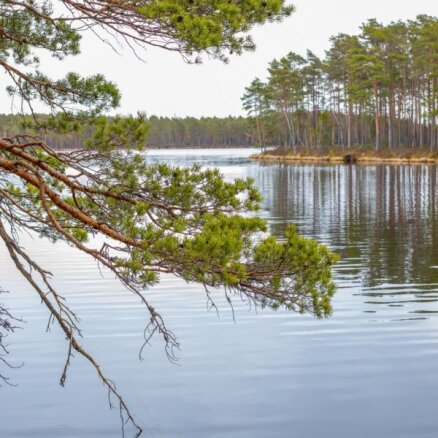 Ziemeļvidzemes apslēptā pērle, kur izlocīt kājas – Purezera taka