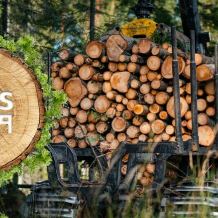 Jauni rekordi un attīstība: kas notiek meža nozarē Latvijā