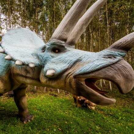 Foto: 'Dinozauru parks' Klaipēdas pievārtē