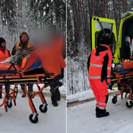 Šogad piektais gadījums – sestdien medībās Dalbē mežacūka ievainojusi mednieku