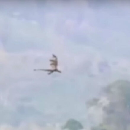Ķīnā nofilmēts mītisks lidojošs radījums