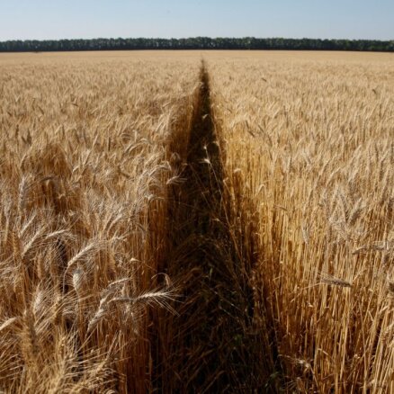 Расследователи: РФ вывозит украденное украинское зерно через Крым