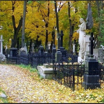 Климович о словах Ушакова: работа на кладбище унижает мусульман