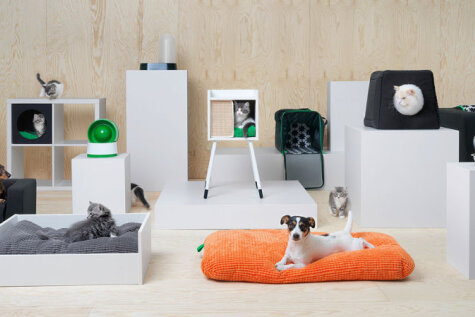 В Риге в августе 2018? IKEA выпустила коллекцию мебели для кошек и собак (ФОТО)
