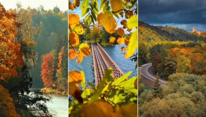 Красота через объектив: Лучшие места в Латвии для того, чтобы сфотографировать золотую осень