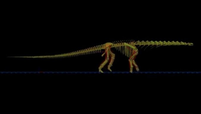 Izskaitļots, kā senatnē pārvietojās milzu dinozaurs