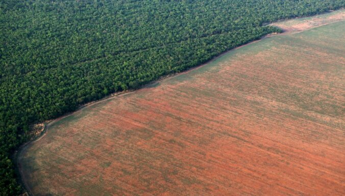 Mežu izciršanu saista ar postošu epidēmiju risku pieaugumu
