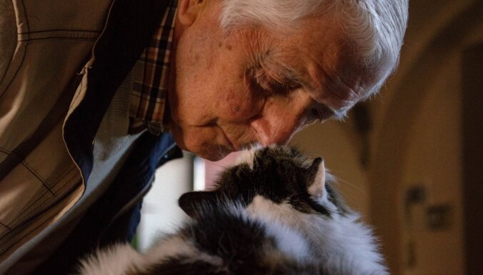 Kaķi arī sirgst ar demenci. Kā to atpazīt un kā parūpēties par murrājošo senioru