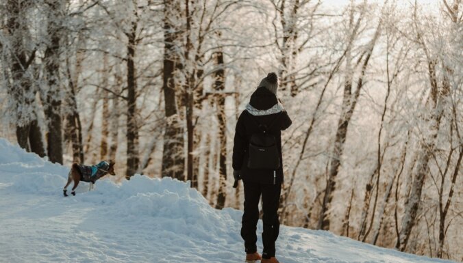 ФОТО. Всегда есть, куда пойти – зимние прогулки по Сигулде