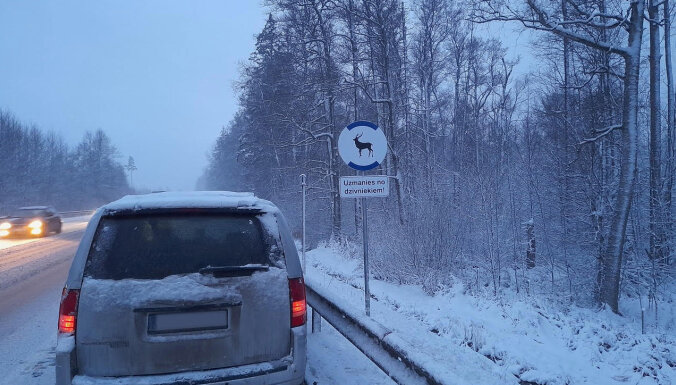 На дорогах Латвии появились особые знаки с изображениями животных