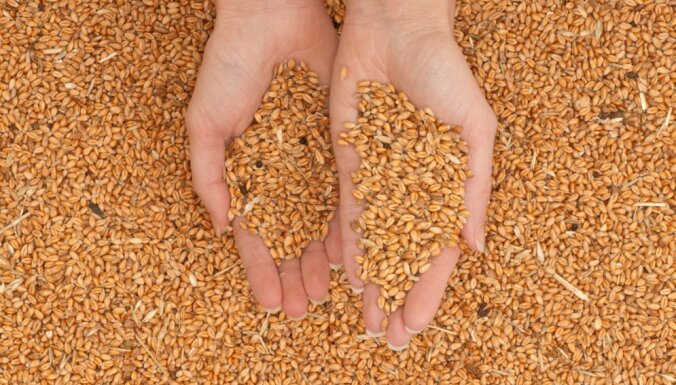Украина просит помочь ей вывезти прошлогодний урожай зерновых