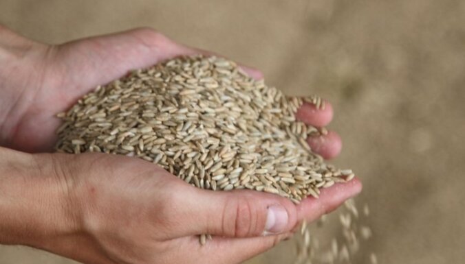 Graudu cenas biržās pārāk zemas; zemnieki graudus pietur