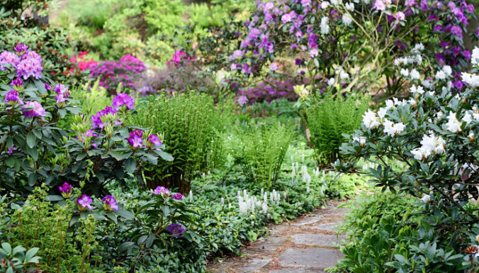 Cад, огород и теплица: Календарь садовода на июнь