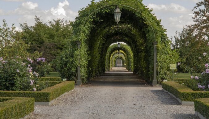 Сад Рундальского замка выиграл престижную премию European Garden Award 2021
