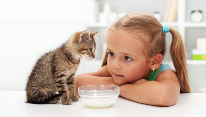 Ученые: домашние кошки — накопители опасных химикатов