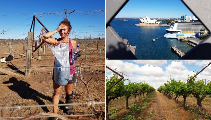 Dzīvot Austrālijā un strādāt vīnogu plantācijā – latviešu ceļotājas pieredze