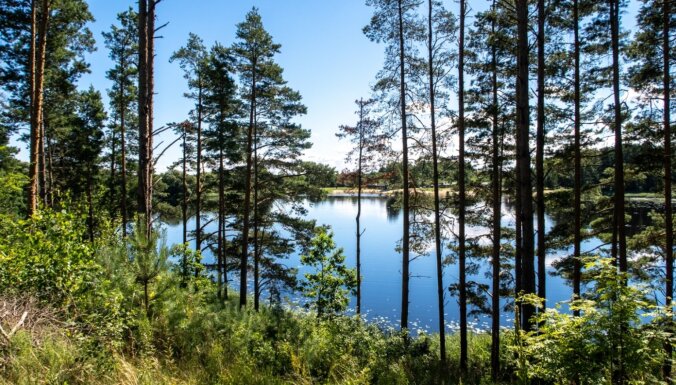 ФОТО. В Литву на пикник? Природная тропа вокруг озера в Жагаре на границе с Латвией