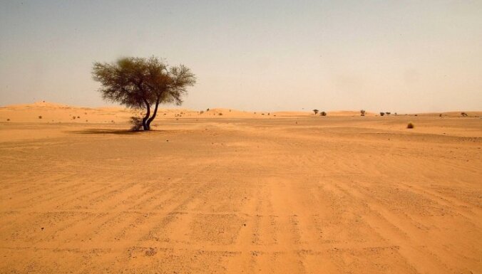 No slāpēm Sahāras tuksnesī miruši 44 cilvēki