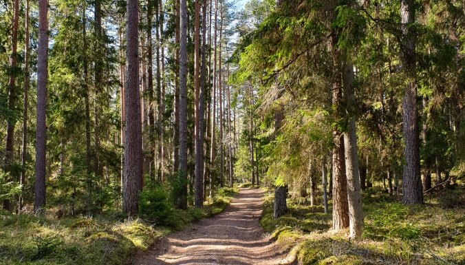 10 dabas takas Latvijā, kur baudīt vasaru