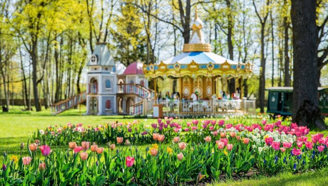 ФОТО. В Пакруойской усадьбе "расцвел" крупнейший в Балтии фестиваль весенних цветов