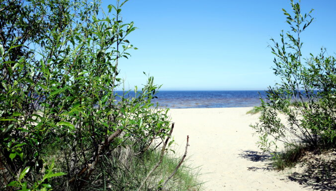 В море у берегов Латвии появились опасные сине-зеленые водоросли