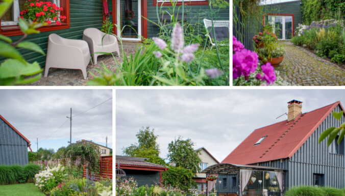 ФОТО. Три самых красивых сада этого года в Вентспилсе