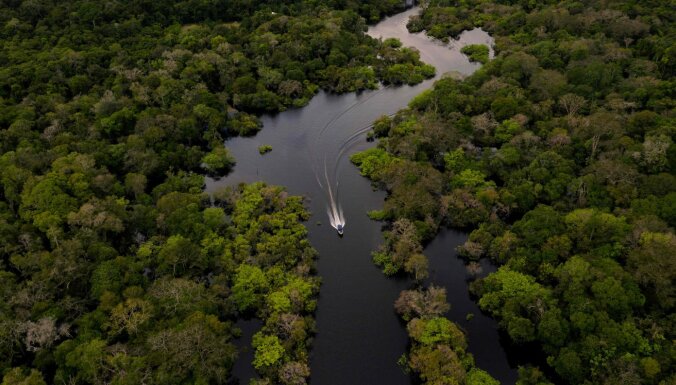 Выжить в джунглях: история чудесного спасения бразильского пилота