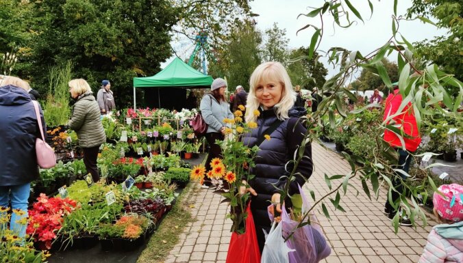 Svinot dārza sezonas izskaņu, Siguldā aizvadīta Rudens stādu parāde